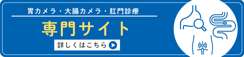 胃カメラ・大腸カメラ・肛門診療 専門サイト